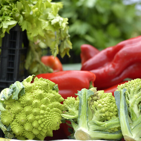 <p>Sommermarkt Krumpendorf&nbsp;</p>