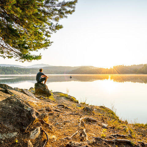 <p>Slow Trail Römerschlucht - Forstsee</p>