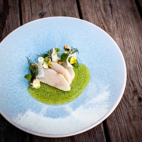 <p>Ceviche auf grünem Schaum. Angerichtet auf einem hellblauen Teller.</p>