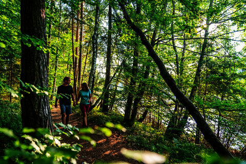 Slow Trail Römerschlucht am Forstsee entlang.